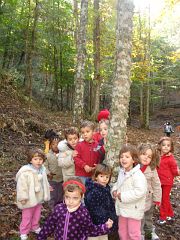 Can Plana 103